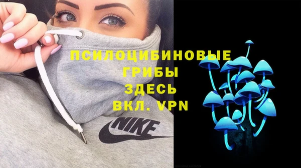 эйфоретик Арсеньев