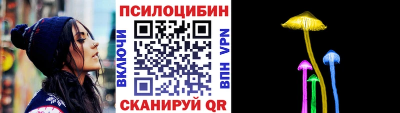 как найти наркотики  Тамбов  Псилоцибиновые грибы Psilocybe 